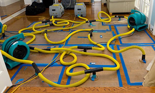 Professional Basement Flood Cleanup technician working in Sheakleyville, PA