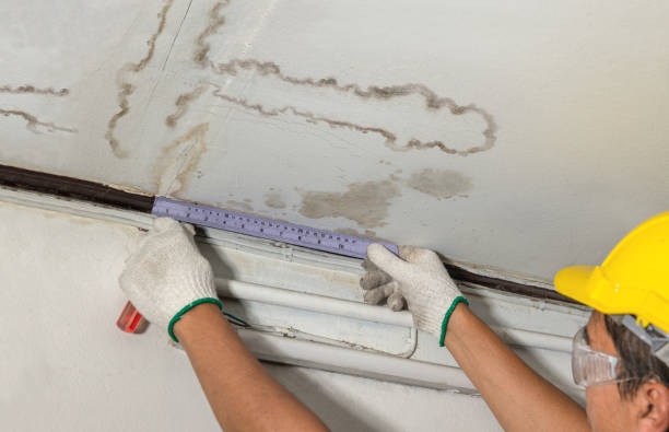 Affordable Basement Flood Cleanup solutions in Sheakleyville, PA
